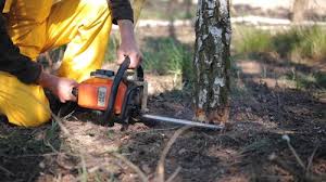 Best Soil Testing and Treatment  in Wapakoneta, OH