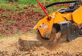 Best Utility Line Clearance  in Wapakoneta, OH